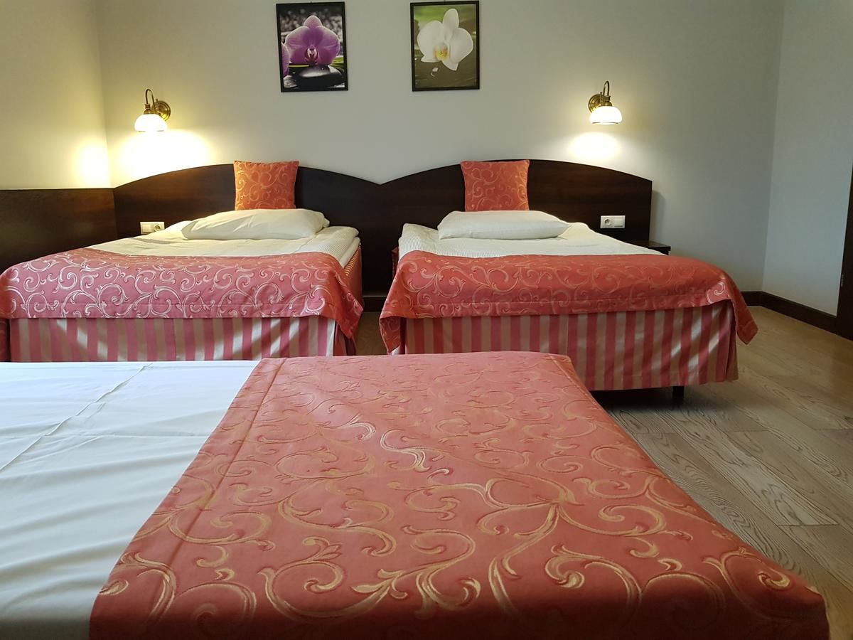 Отели типа «постель и завтрак» Pokoje Hotelowe Figaro Плоцк
